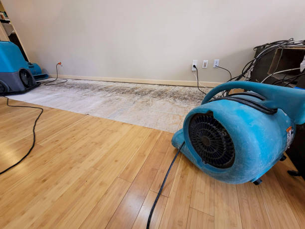 Professional Flood Damage Cleanup technician working in Stafford, OH